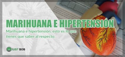 Marihuana cbd e hipertensión