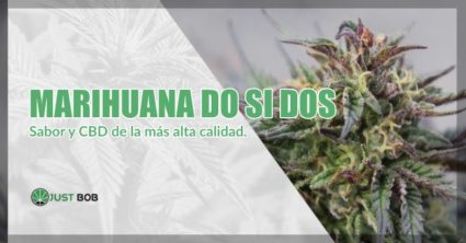 Marihuana sin thc Do Si Dos