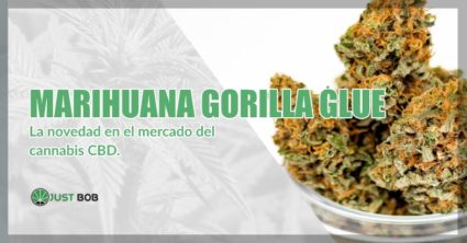 Marihuana sin thc Gorilla Glue