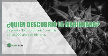 Quién descubrió la marihuana cbd