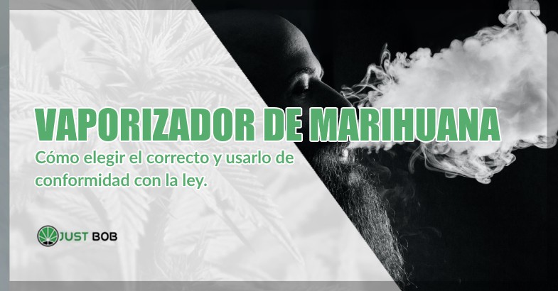 Vaporizador de marihuana portátiles información y consejos en nuestro blog