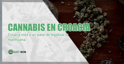 marihuana cbd en croacia