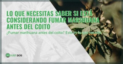 Lo que necesitas saber si está considerando fumar marihuana antes del coito