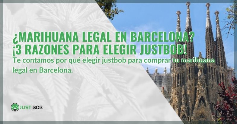 ¿Marihuana legal en Barcelona? ¡3 razones para elegir Justbob!