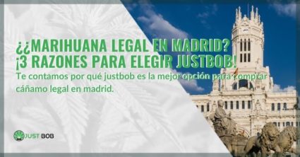 ¿Marihuana legal en Madrid? ¡3 razones para elegir Justbob!