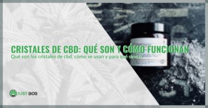 Cristales de CBD: qué son y cómo funcionan