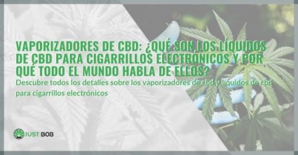 ¿qué son los líquidos de CBD para e-cigarrillos?