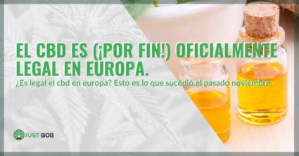 ¡El CBD finalmente ha sido legalizado en Europa!