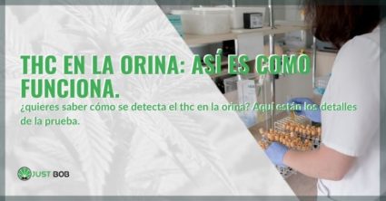 ¿Cómo funciona el análisis de orina de THC?