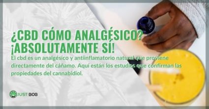 El CBD de cáñamo es un antiinflamatorio y analgésico natural.