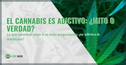 ¿Es un engaño o la verdad que la marihuana es adictiva?