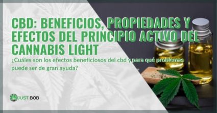 CBD y sus efectos y propiedades beneficiosas