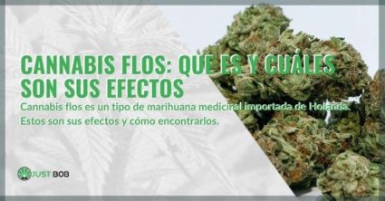 ¿Qué es el cannabis Flos y cuáles son sus efectos?