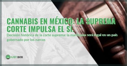 La corte suprema de México dice sí al cannabis