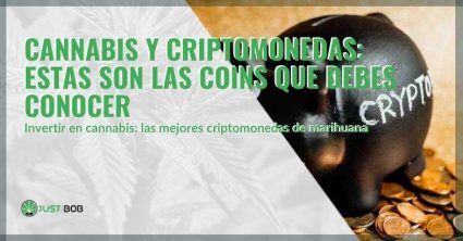 Aquí están las mejores criptomonedas sobre marihuana