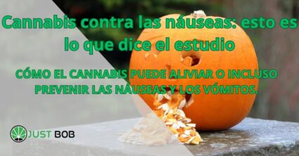 Cannabis contra las náuseas