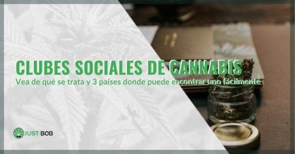 Descubra qué es un club social de cannabis y los países donde puede encontrar uno