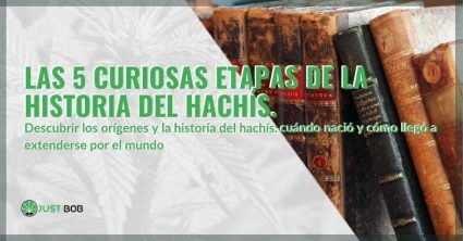 Etapas de la historia del hachís