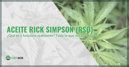 Rick Simpson Oil ¿qué es, cómo funciona?