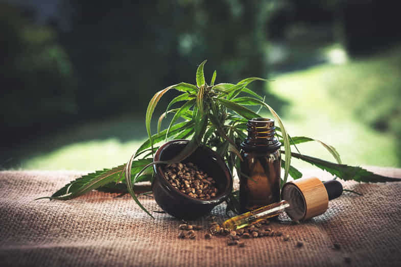semillas y plantas de cannabis | just bob