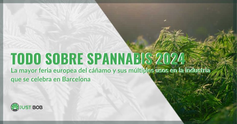 Todo sobre Spannabis 2024 la mayor feria europea del cannabis | Justbob