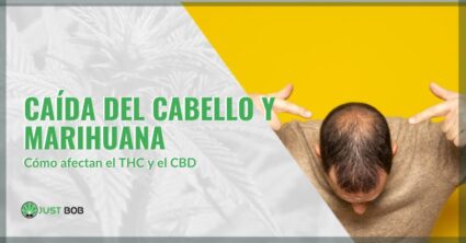 caida del cabello y marihuana | just bob