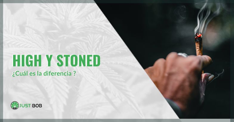 ¿Cuál es la diferencia entre high y stoned | just bob