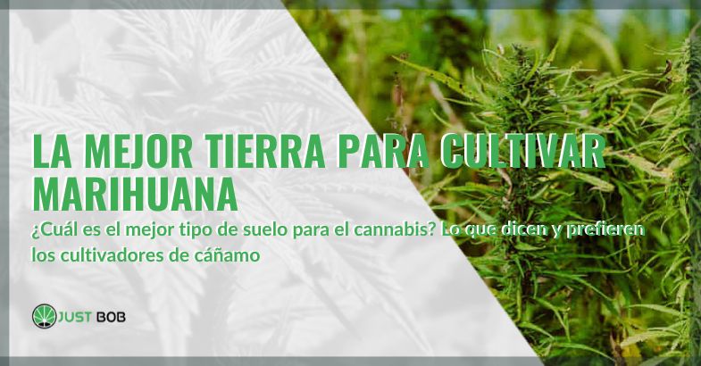 La mejor tierra para cultivar marihuana | Justbob