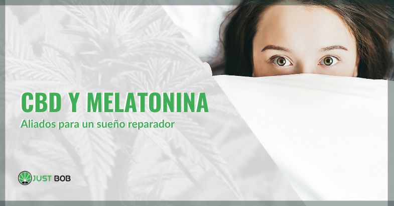 cbd y melatonina | just bob