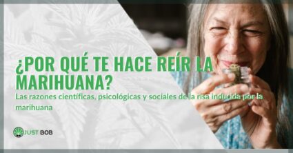 ¿Por qué te hace reír la marihuana? | Justbob