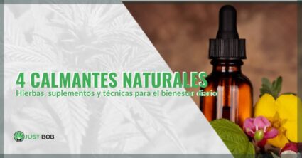 4 calmantes naturales | just bob