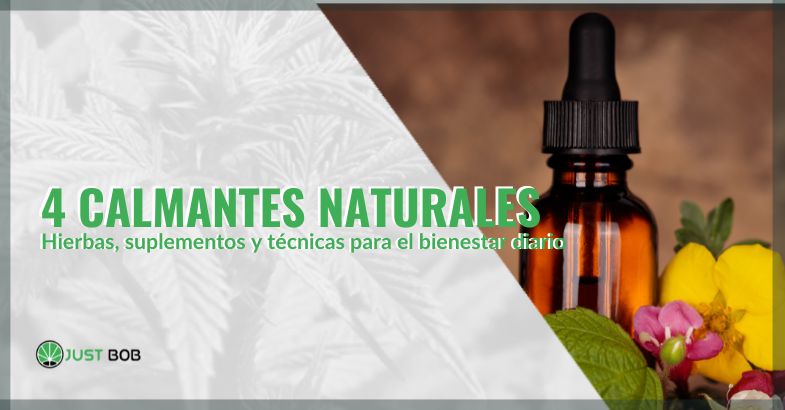 4 calmantes naturales | just bob