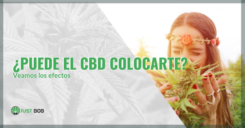 Puede el cbd colocarte | just bob