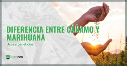 Diferencia entre cáñamo y marihuana usos y beneficios | just bob