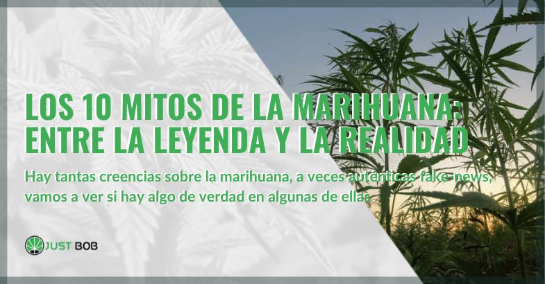 Los 10 mitos de la marihuana: entre la leyenda y la realidad | Justbob