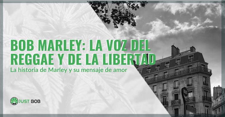 Bob Marley: la voz del reggae y de la libertad | Just Bob