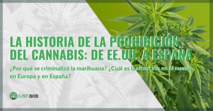 La historia de la prohibición del cannabis: de EE.UU. a España | Justbob