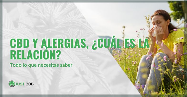 CBD y alergias, ¿cuál es la relación | just bob