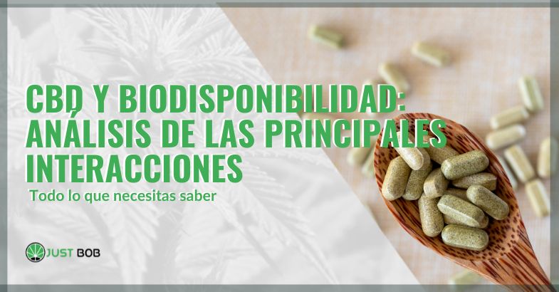 CBD y biodisponibilidad: análisis de las principales interacciones | just bob