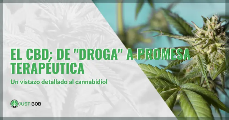 El CBD de droga a promesa terapéutica | Justbob