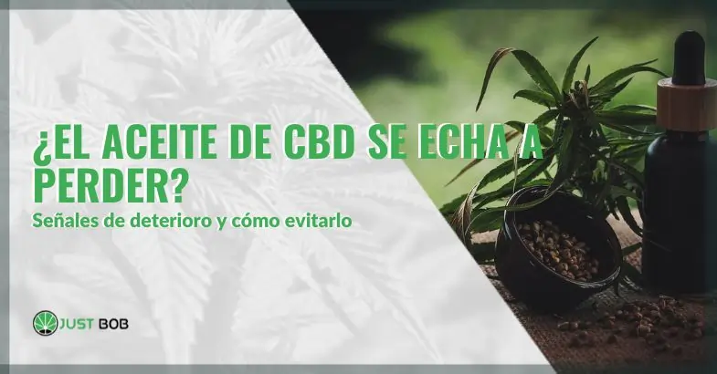 ¿El aceite de CBD se echa a perder? Señales de deterioro y cómo evitarlo | Justbob